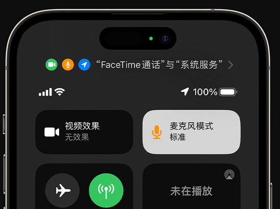 澧县苹果授权维修网点分享iPhone在通话时让你的声音更清晰 