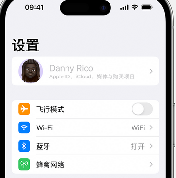 澧县appleID维修服务iPhone设置中Apple ID显示为灰色无法使用 