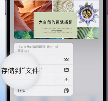 澧县apple维修中心分享iPhone文件应用中存储和找到下载文件