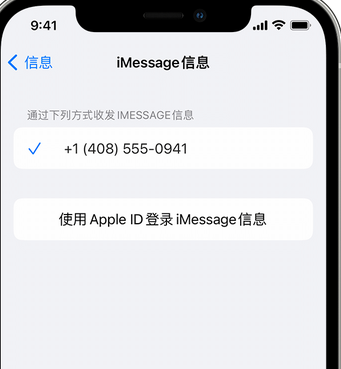 澧县apple维修iPhone上无法正常发送iMessage信息 