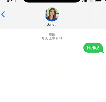 澧县apple维修iPhone上无法正常发送iMessage信息