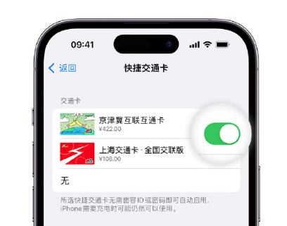 澧县apple维修点分享iPhone上更换Apple Pay快捷交通卡手绘卡面 