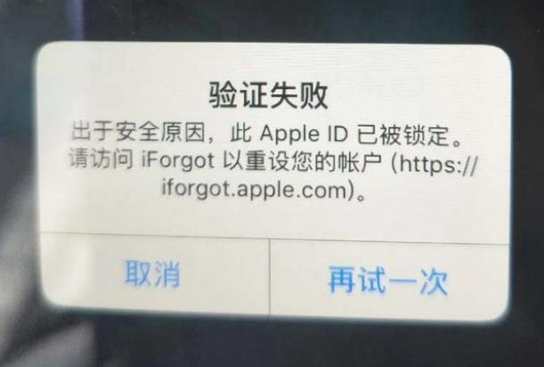 澧县iPhone维修分享iPhone上正常登录或使用AppleID怎么办 