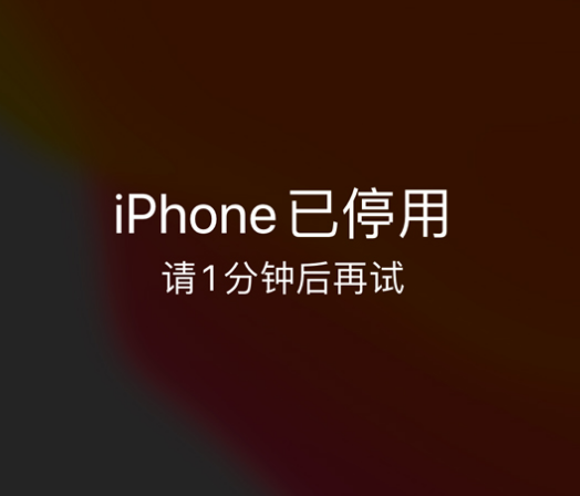 澧县苹果手机维修分享:iPhone 显示“不可用”或“已停用”怎么办？还能保留数据吗？ 