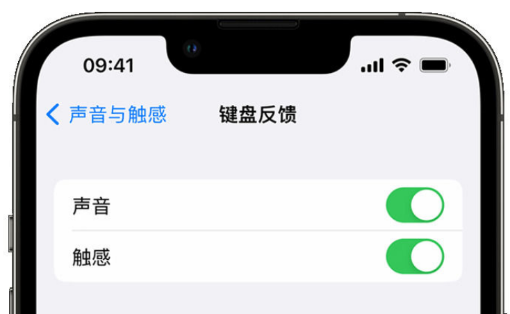 澧县苹果手机维修分享iPhone 14触感键盘使用方法 