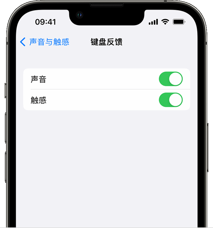 澧县苹果14维修店分享如何在 iPhone 14 机型中使用触感键盘 