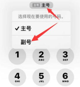 澧县苹果14维修店分享iPhone 14 Pro Max使用副卡打电话的方法 