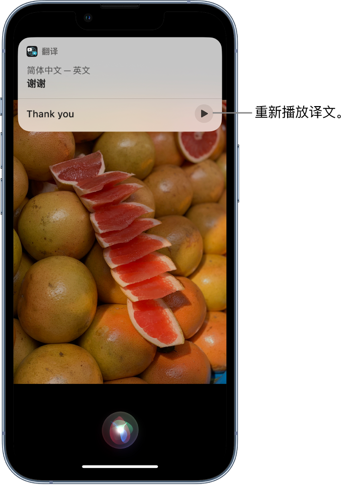 澧县苹果14维修分享 iPhone 14 机型中使用 Siri：了解 Siri 能帮你做什么 