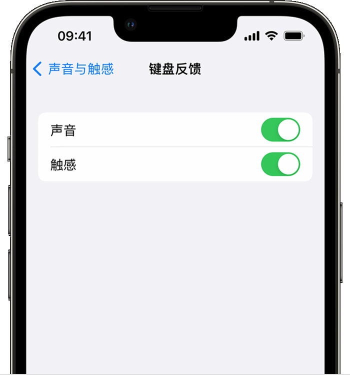 澧县苹果14维修分享iPhone 14 系列机型如何开启键盘声音或触感反馈 