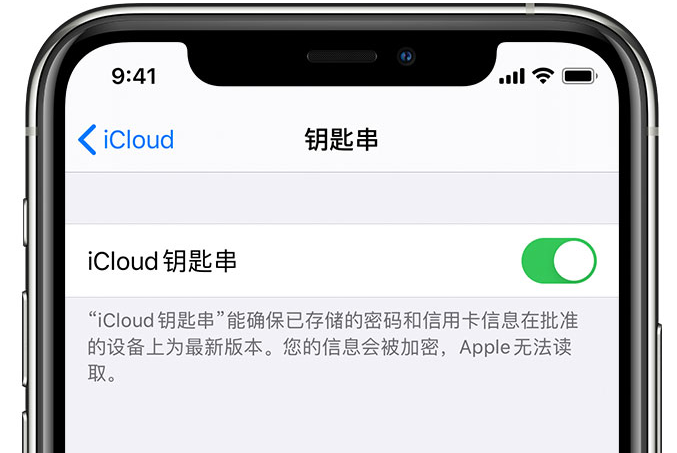 澧县苹果手机维修分享在 iPhone 上开启 iCloud 钥匙串之后会储存哪些信息 