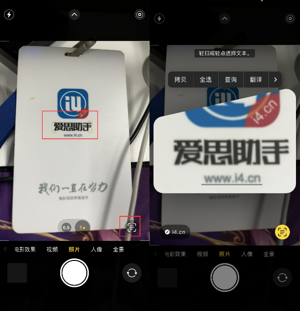 澧县苹果手机维修分享升级iOS 16后如何通过相机翻译文本 