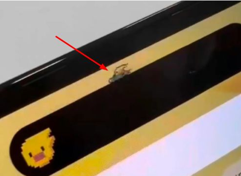 澧县苹果14维修分享iPhone 14 Pro Max灵动岛怎么养宠物 