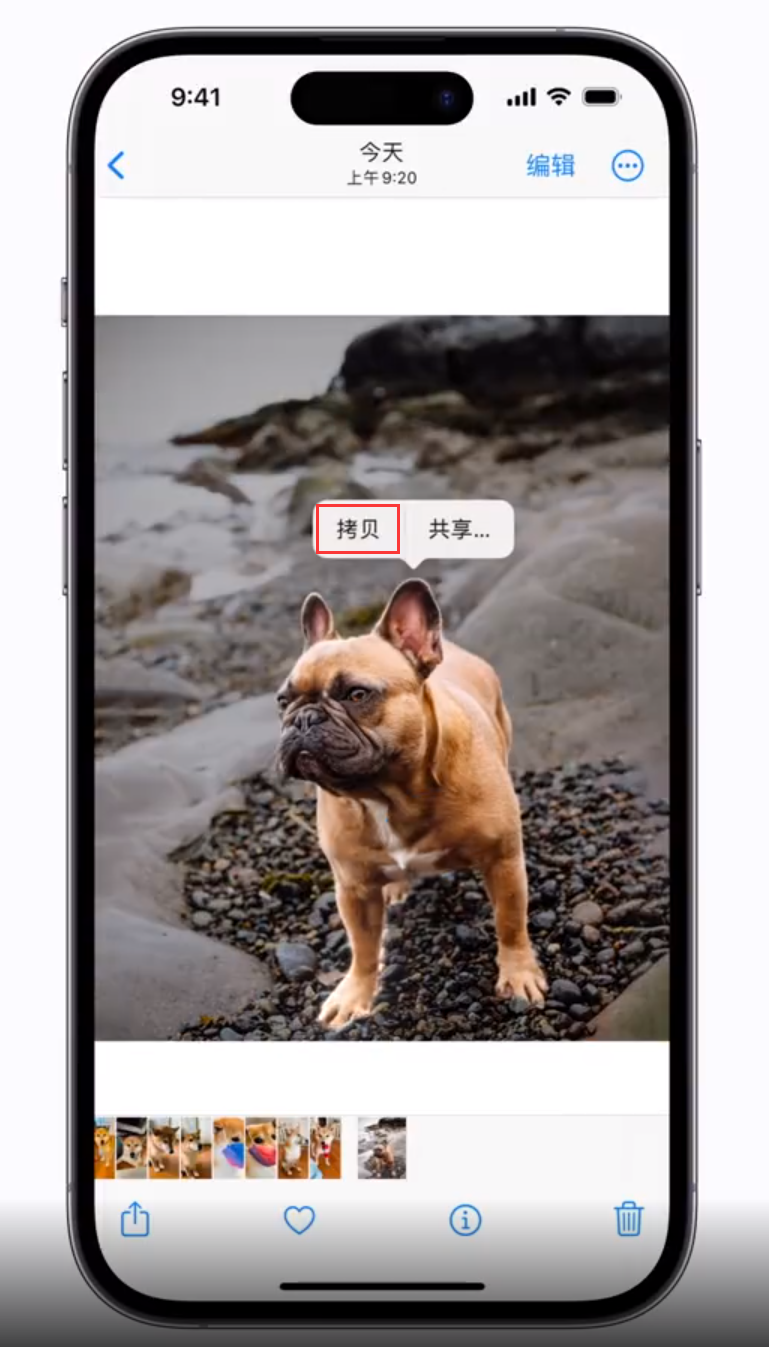 澧县苹果手机维修分享 iOS 16 自带一键抠图功能 