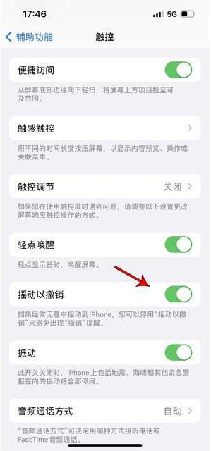 澧县苹果手机维修分享iPhone手机如何设置摇一摇删除文字 