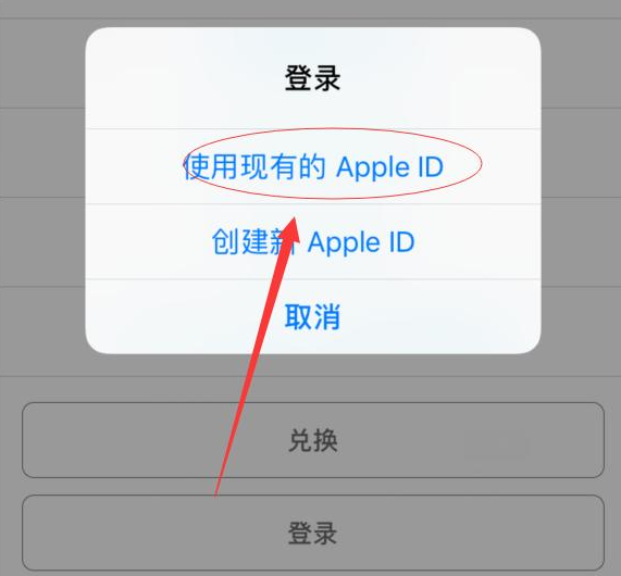 澧县苹果手机维修分享两台iPhone设备可以同时登录一个Apple ID吗 