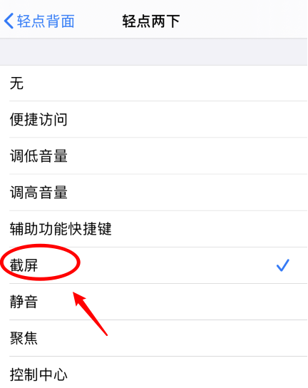 澧县苹果手机维修分享iPhone12如何启用双击截屏 